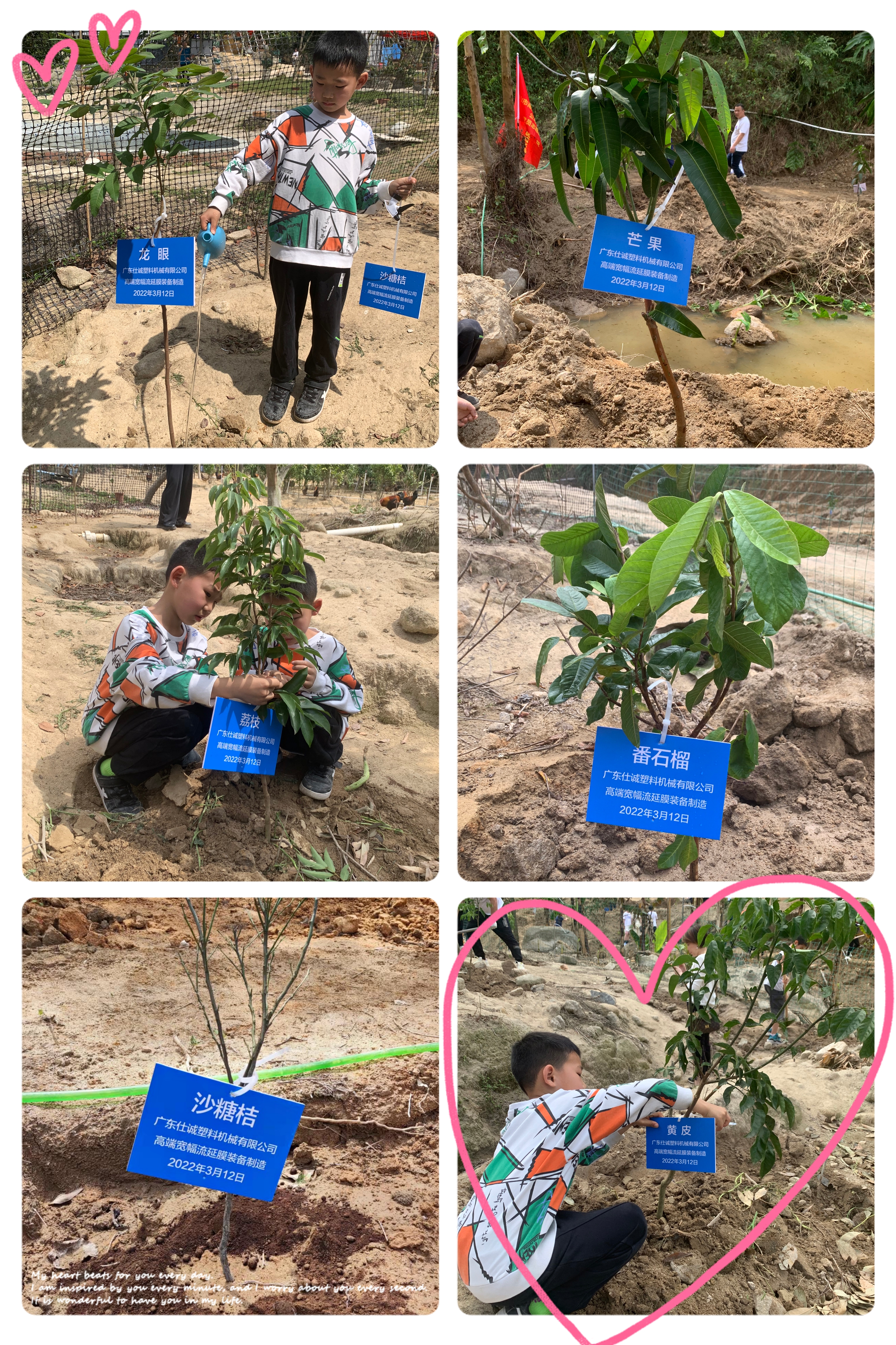 QQ圖片20220312165816.jpg QQ圖片20220312165816.jpg